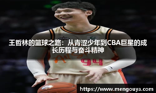 BB贝博官网