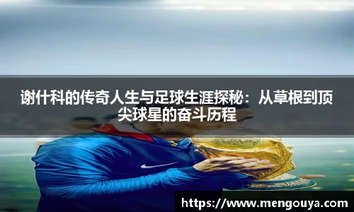 贝博BB官网